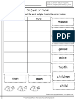 Irregular Plural Nouns