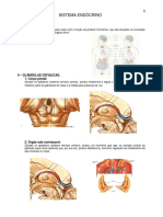 8.sistema_endocrino.pdf