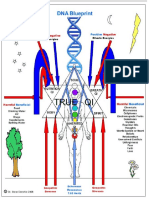 DNA Energy Chart