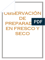 SEGUNDO INFORME.docx