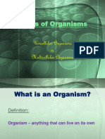 Types of Organisms: Unicellular Organisms vs. Multicellular Organisms