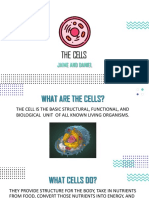 THE CELLS