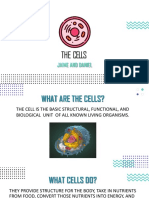 The Cells: Jaime and Daniel