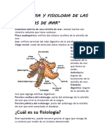 ANATOMIA Y FISIOLOGIA ANIMAL.docx