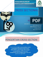 Cross Sectional