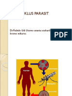 Definisi, Siklus Parasit Malaria