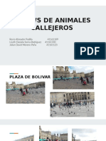 Shows de Animales Callejeros