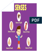 Sense Organs