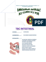 225973209-Tbc-Intestinal.docx
