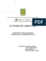 vacuta-pdf.pdf