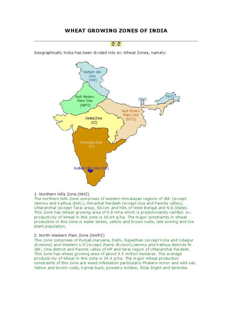 Wheat Growing Zones in India | PDF | Wheat | Crops