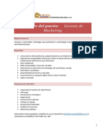 216 - PERFIL Gerente de Marketing PDF