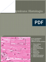 Histologia Gymkana3