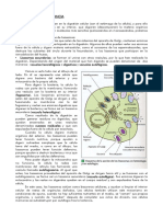 lisosomas-y-sus-funciones.pdf