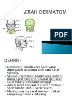 Daerah-Dermatom PDF