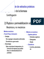 Extractos Proteicos - Electroforesis