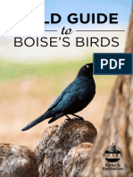 Field Guide To Boises Birds 101415