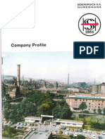 SC Siderurgica SA Hunedoara Company Profile 1994