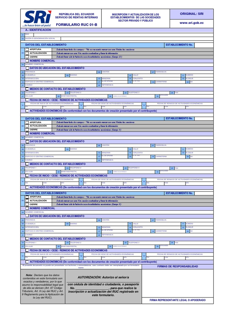 Formulario Ruc 01b Pdf Gobierno Politica