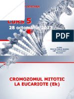 Genetica MD - Curs 5 28 Octombrie 2013 PDF