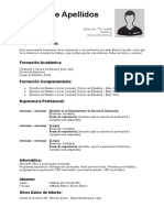 Curriculum Vitae Combinado