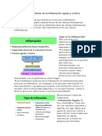 Celulas de La Inflamacion Aguda y Cronica