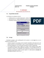 Laborator 09 - Zone Critice - Fire PDF