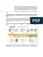 Evolucion Tecnologica