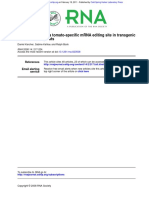 19.Faithful Editing of a Tomato-specific MRNA Editing Site in Transgenic