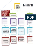 DIAGNOSTICO DIFERENCIAL