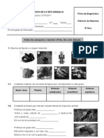 Ficha de Diagnóstico de CN 5º