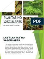 Plantas No Vasculares GERMAN