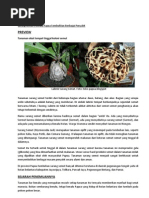 Download Benalu Sarang Semut Papua Nongon by budivinola SN38299143 doc pdf