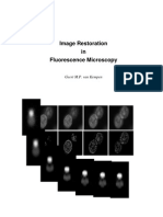 Thesis on Image Restoration