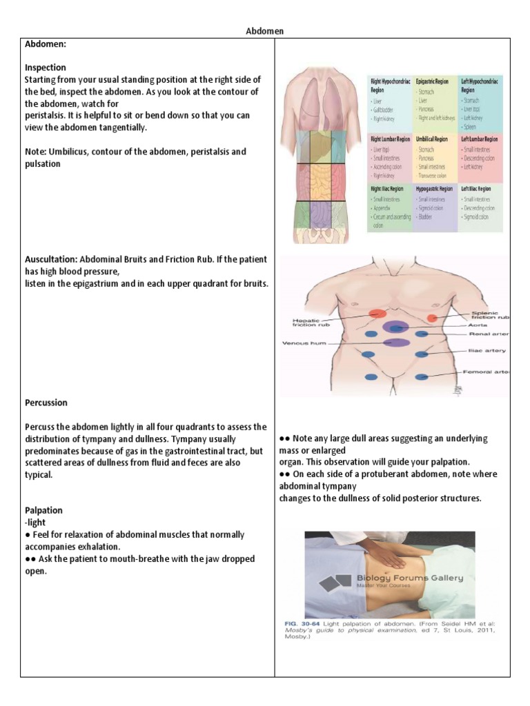 gggghh-pdf-abdomen-pulse