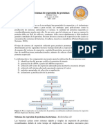 Sistemas de Expresión de Proteínas