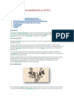 7 Descentralización y Reforma Constitucional en El Perú Actual