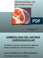 Cardiogenesis 1
