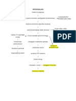 2. PATOFISIOLOGI