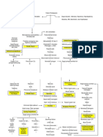 Patofisiologi Nursing Pathway