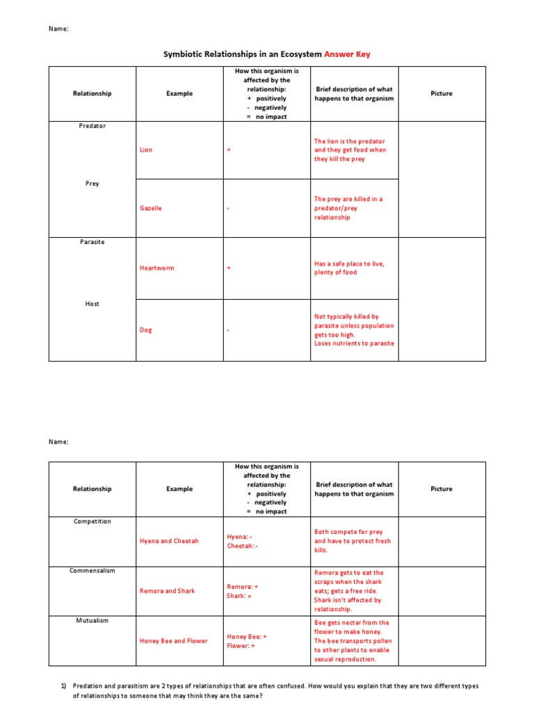 Symbiotic Relationships Chart Answers Predation Symbiosis