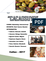 ANALISIS DE LA EMPRESA CACAOSUYO.pdf