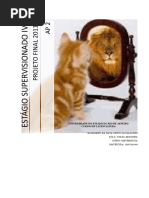 O Efeito Pigmaleão na formação da estima do aluno