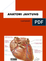 Anatomi Jantung