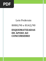 Material-Esquematizado Lei 8080 e 8142 Esquematizadas 200 QuestoesTOP.pdf