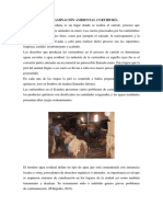 Contaminación Ambiental Curtiduría