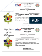 BSP Sample Certificate (Cebu Council)