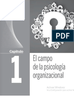 Psicología Organizacional Caps 1 y 2