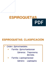 Espiroquetas