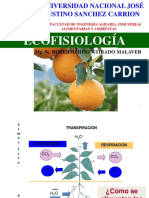 Ecofisiologia - Fotosintesis - C3 C4